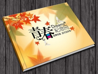 青春纪念册