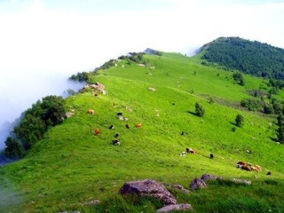 香格里拉旅游