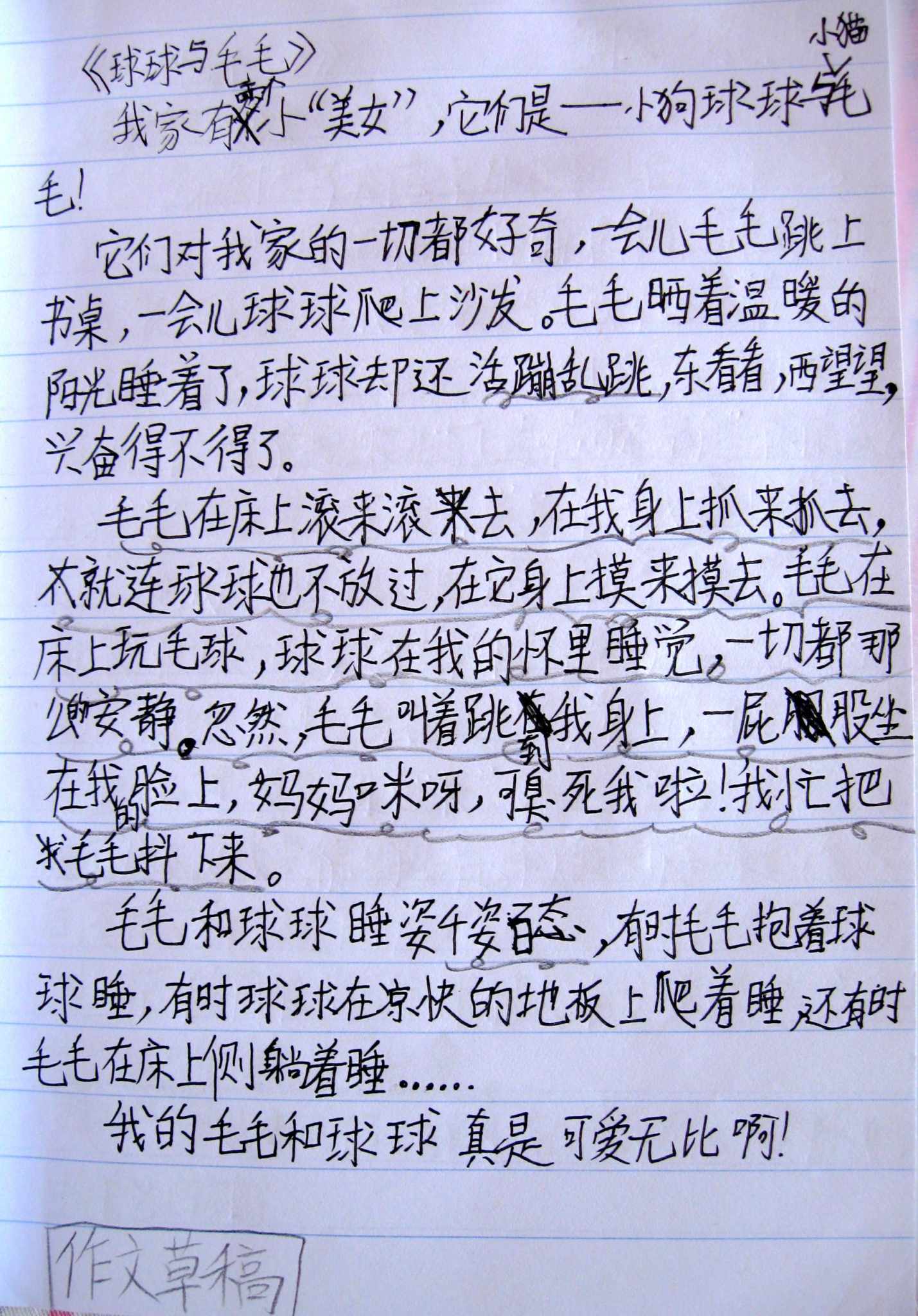 作文草稿——球球与毛毛