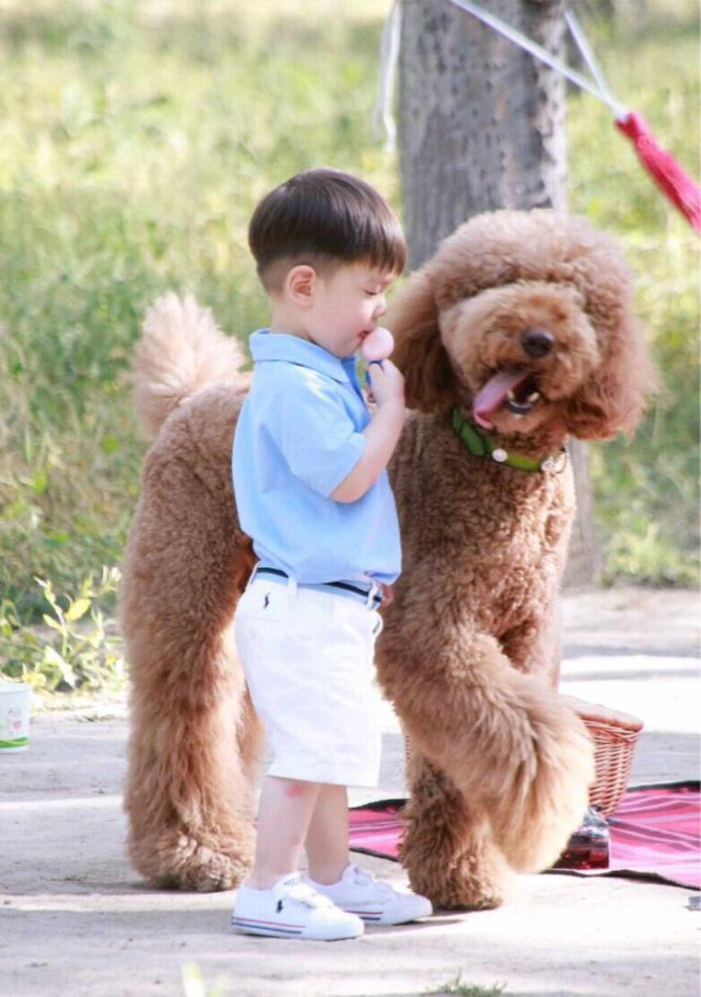 to:亲爱的嗯哼大王