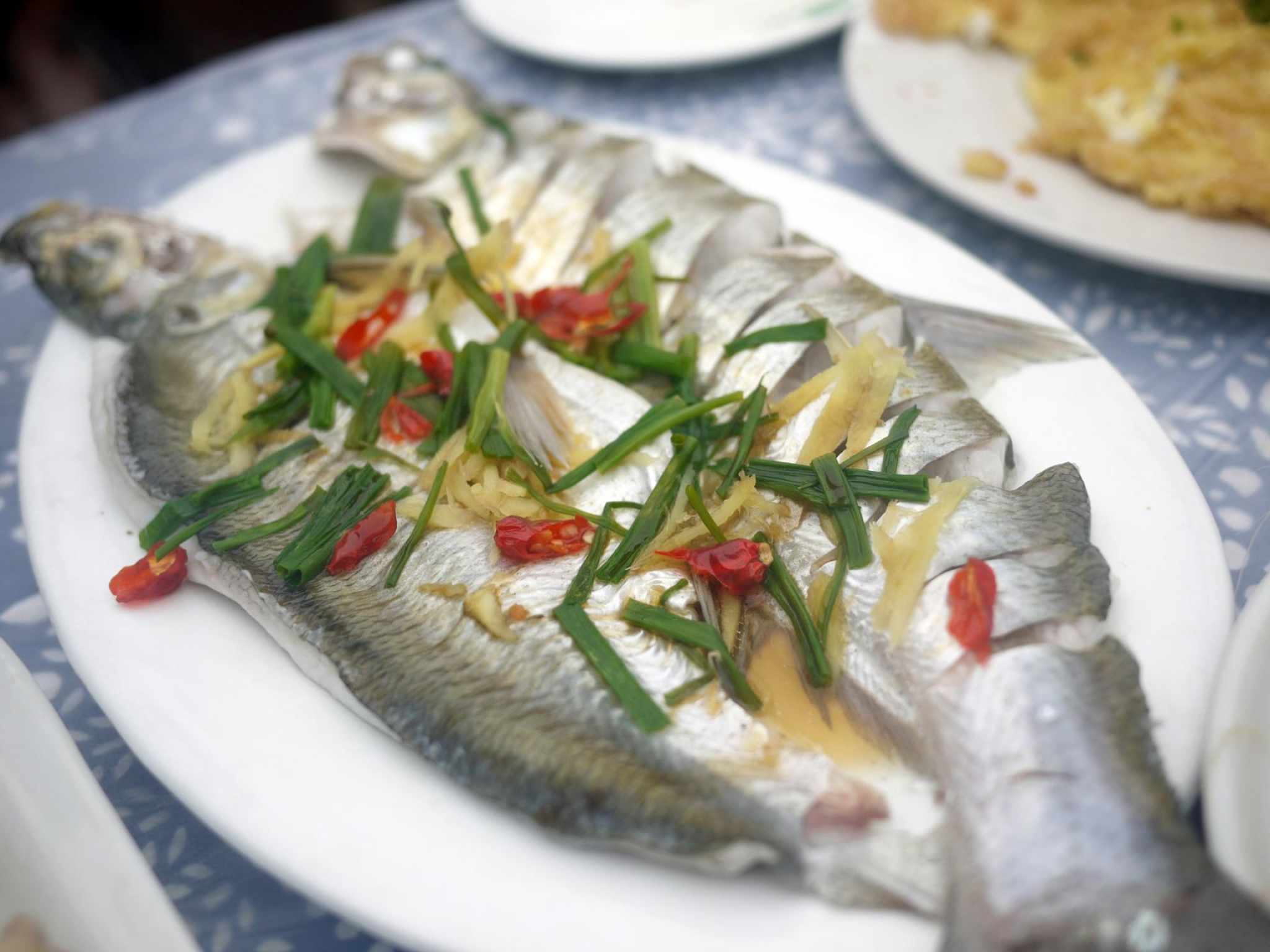 太湖白水鱼,太湖白鱼,白水鱼(第15页)_大山谷图库